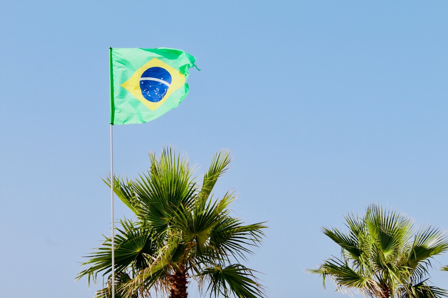Participação ativa: um dever do cidadão conservador